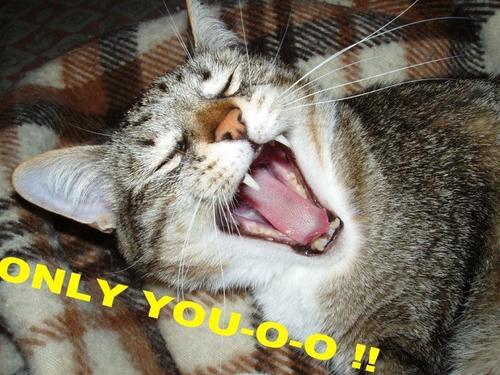 P00H1969's profile picture. Мыслимое околачивание...