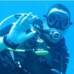 ludokerkhofs's profile picture. 