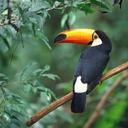 madison geiger - @madgirlgeiger - Twitter