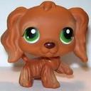 Genevieve Ryan - @genevieveryanxo - Twitter