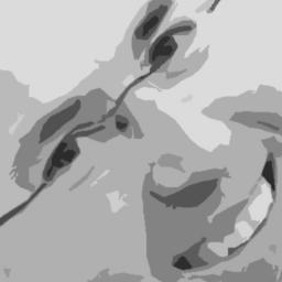 JulianAtienzar's profile picture. Fotografie, webdesign, social media, 
sport (o.a. voetbal), computers