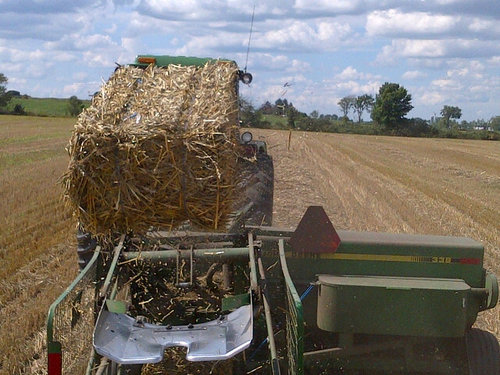 Farmer, Central Ontario FS crop specialist. Tweets are my own
