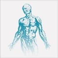 Dublin Physiotherapy (@dubphysioclinic) 's Twitter Profile
