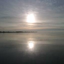 Lakesdweller Profile Picture