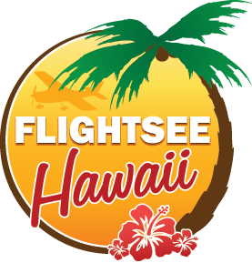 Unforgettable Private Oahu Air Tours: 
Discover Pearl Harbor, North Shore, Kaneohe Bay, and Diamond Head, just to name a few, from a breathtaking 1500 feet.