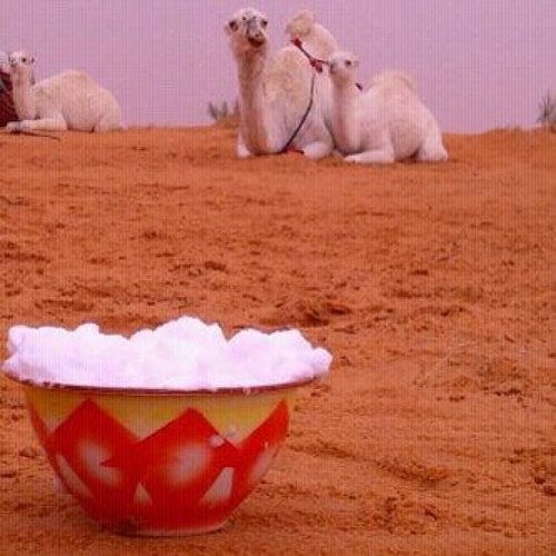 أقدر وسيعين الصدر - متفائل ولله الحمد - مهتم بالمشاريع التجاريه - هلالي وأمثل نفسي في هذا المقام..!!
