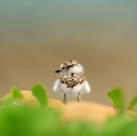 stephjcarter79's profile picture. 