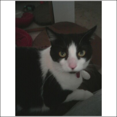 pamalet's profile picture. What have you done lately?