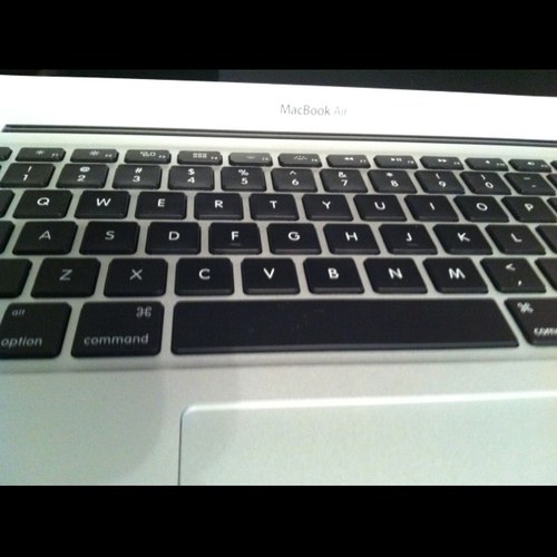 WorkingathomeL's profile picture. Working from home for the first time and going CRAZY!