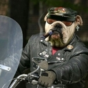 Gerald Bunker 3 - @blackbart1291 - Twitter