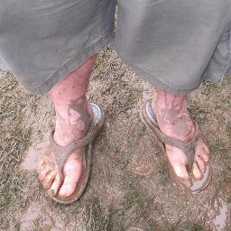 Shamih49's profile picture. 