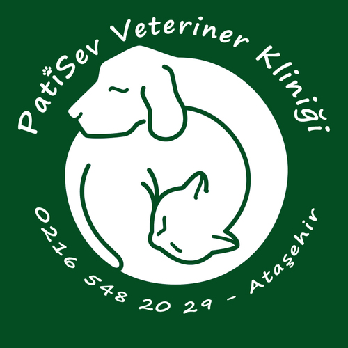 PatiSev Veteriner Kliniği, patili dostlarınızın yeni evi:) http://t.co/eOEAkVKYcw instagram:@patisevvet