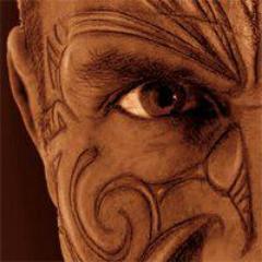 KapaiPuku's profile picture. Kapai Puku® The Seed of Life® is one of the highest fibre breakfast cereals available today.