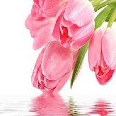 صمتي .. صدى حنيني