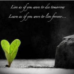 lifefunnyquote's profile picture. live life to fullest.
if there was no laughter in the world there will be no smiles.
I quote Einstein because no one questions his answers.