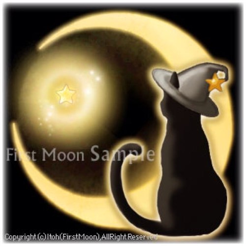 黒猫コッコさんのプロフィール画像