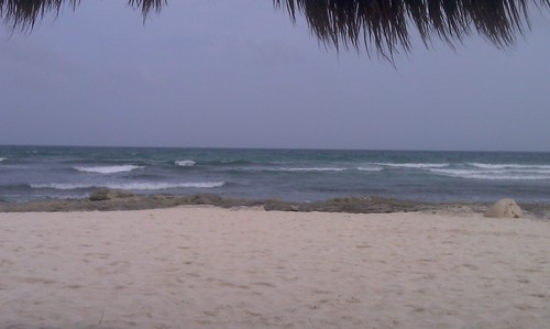 JessiKoester's profile picture. 