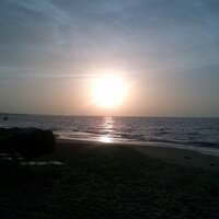 Rafael (@remm69) 's Twitter Profile