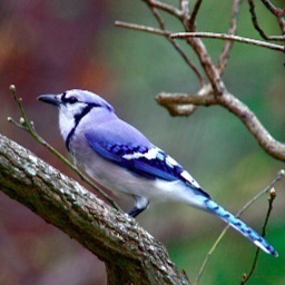 myhappyfactory's profile picture. Multiple challenges mean, more raw materials to manufacture your happy future! James said, Count trials as an opportunity to build happiness.