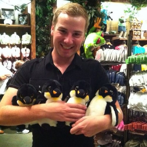 danieltiger_'s profile picture. if you're not already following me on Twitter, don't start now.