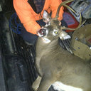 Stuart poulter - @poulter_stuart - Twitter