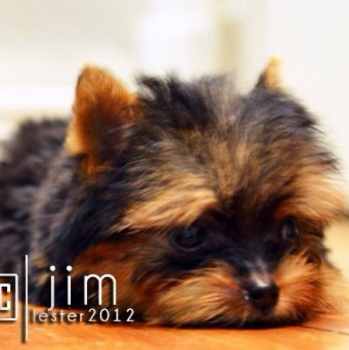 jlc33085's profile picture. save the earth it is the only planet we get girls