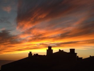 ninacarmichael's profile picture. 