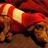 Oliver_the_pup's profile image