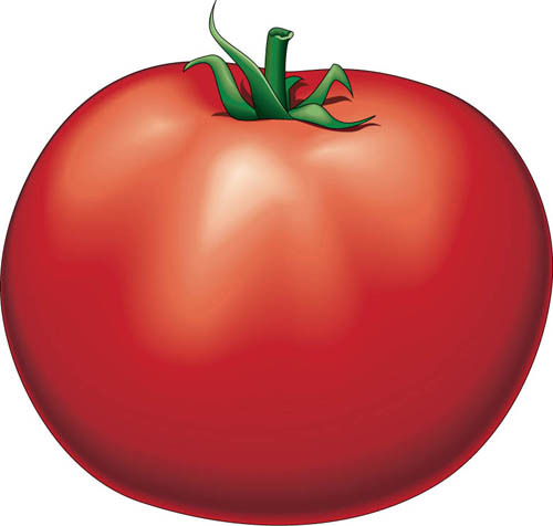 Tomatoes shall rule the world in the future...muahahaha
follow me cuz I follow back.Swear