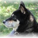 Jerry Rosenbaum - @SwmpFox - Twitter