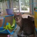 Beverly Casey - @bcasey3 - Twitter