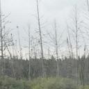 Maria chenita romero - @june02ching - Twitter