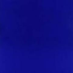 scjacinth's profile picture. 