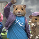 Aaron Traub - @AaronTraub1 - Twitter