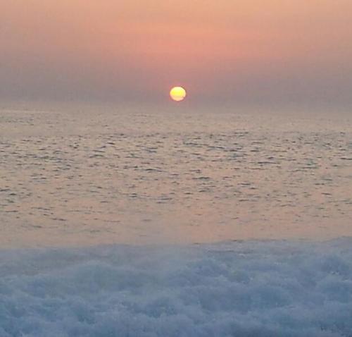 spacecaren's profile picture. 울산 사는 뇨자ᆢ