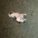 jordan don york - @york_don - Twitter