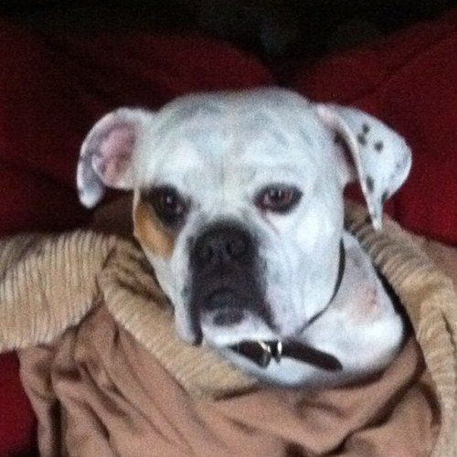 Kishvette's profile picture. 