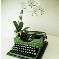 Kristen Zambo (@kristenzambo) 's Twitter Profile Photo