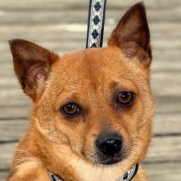 jena1122's profile picture. Too much caffeine in my bloodstream and a lack of real spice in my life.