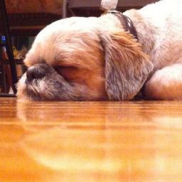 crftymom's profile picture. 