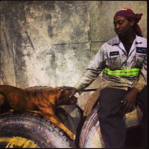 OsamaChuckLaden's profile picture. weed cφnnφissuer. #NP with my dick. #Lakernation. Im not saying im batman, but we've never been seen in the same room together. Łivę. ŁφvΣ. Ç.H. Å. R. Ł. Ę. Š.