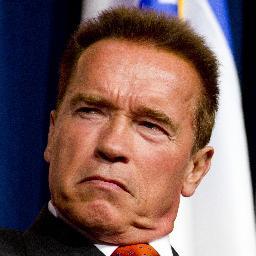 I USED TO LIFT HEAVY OBJECTS FOR A LIVING, SO THEY MADE ME A MOVIE STAR AND ELECTED ME GOVERNOR. (no association with the actual Arnold Schwarzenegger)