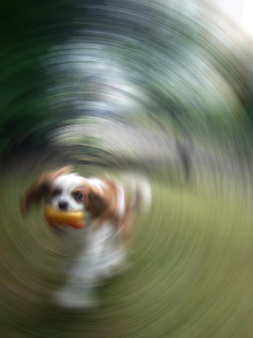 Dave_boss's profile picture. Enjoying my role with the National Autistic Society!