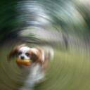 David Slocombe - @Dave_boss - Twitter