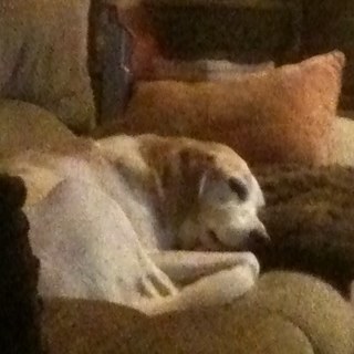 Steve22192's profile picture. 