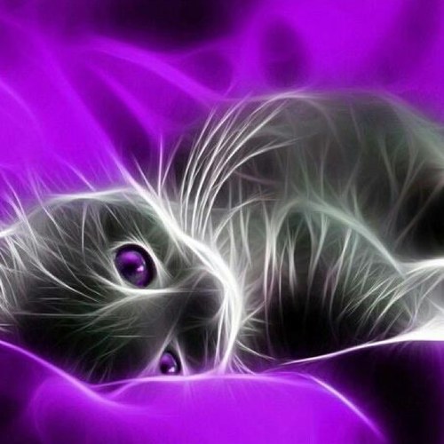 LoriLynnD73's profile picture. 