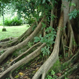 Enrique_Ugalde's profile picture. Diseñador Gráfico | Amante de la comunicación digital | Cada día sé que menos sé, pero cada día aprendo más.