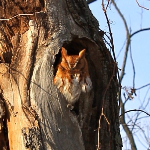 zoezeez's profile picture. 