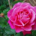 peter chee - @peterchee_rsrn - Twitter