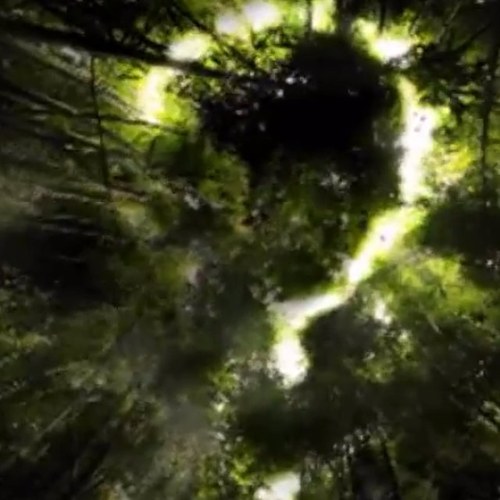 deadman6908's profile picture. I changed my name from Dr.CoCo to Mystery